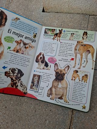 Animales Domésticos (Spanish Edition)