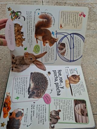 Animales Domésticos (Spanish Edition)