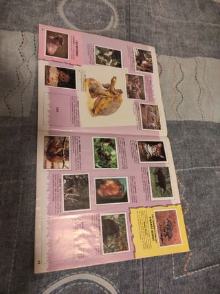 Álbum de Cromos Animales Salvajes Italy SL