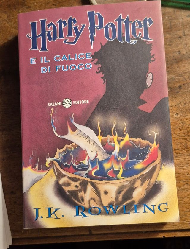Harry Potter e il calice di fuoco