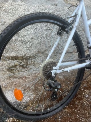 Bicicleta de montaña