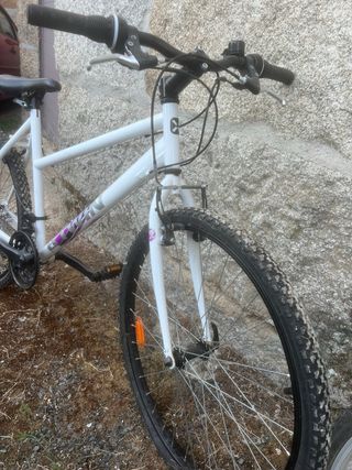 Bicicleta de montaña