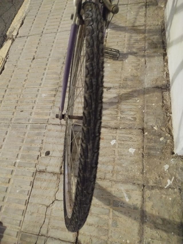 Bicicleta Orbea Morada Antigua