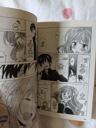 Manga 1 toradora inglés