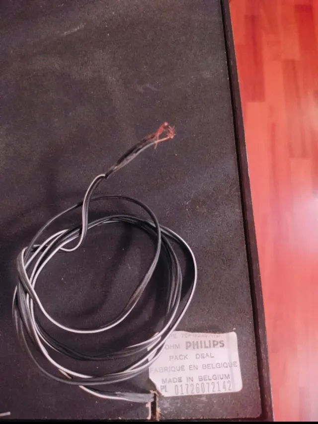 2 Casse stereo Philips