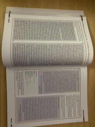 Lengua castellana y Literatura 1 Bachillerato 