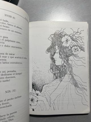 Rimas y Leyendas (Biblioteca Didactica Anaya) (...