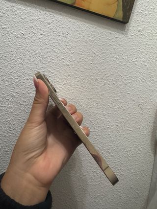 iPhone 13 Pro Max Dorado