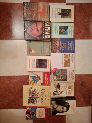 Lote de Libros Variados