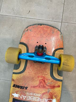 Hydroponic Freeride Downhill Longboard Skate