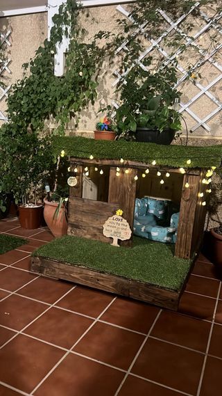 Casa para mascotas gato o perro