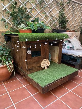 Casa para mascotas gato o perro