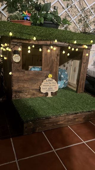 Casa para mascotas gato o perro