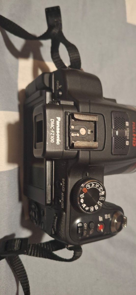 Panasonic Lumix DMC-FZ100 Cámara Digital