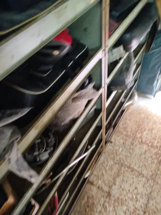 Vespa  Vespino lote platos magnéticos