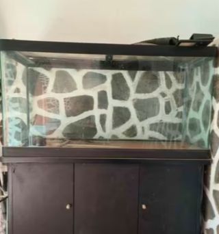 Acuario 200L equipado