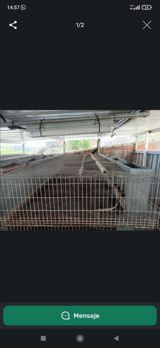 Jaulas para conejos