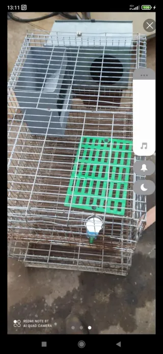 Jaulas para conejos, gallina pequeña , codornices.