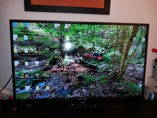 Monitor HANNSpree Negro