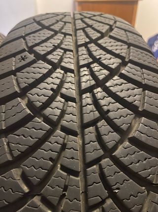 2 Neumáticos Invierno Goodyear 195/65R15 91H