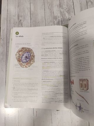 Biología y Geología 4