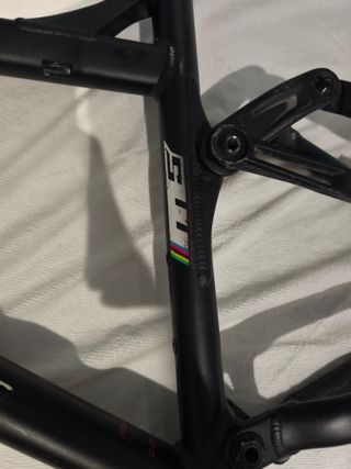 Cuadro Specialized con Brain