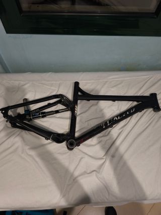 Cuadro Specialized con Brain