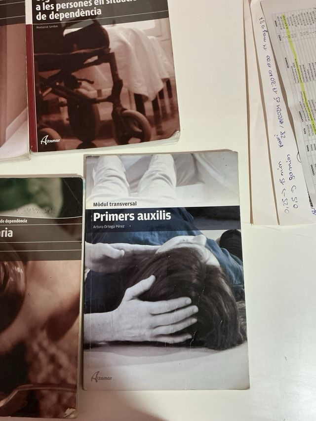 Organització de l'atenció a persones en situaci...