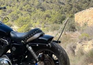 Guardabarros Trasero Harley Davidson Sportster 