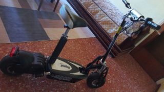 Patinete Eléctrico Raycool