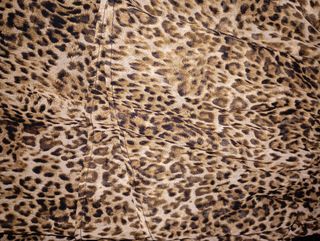 Disfraz Leopardo Claire's 