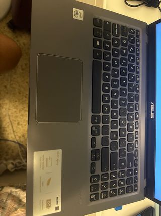 Portátil Asus F515AJ Gris