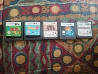 Nintendo DS Giochi Educativi (5 giochi)