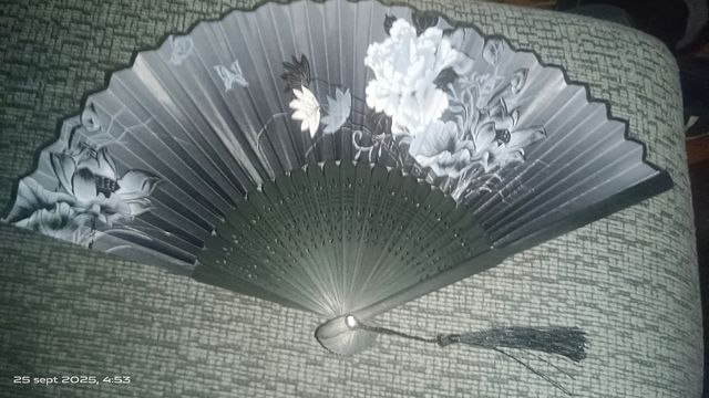 Abanico negro calado flores pintadas