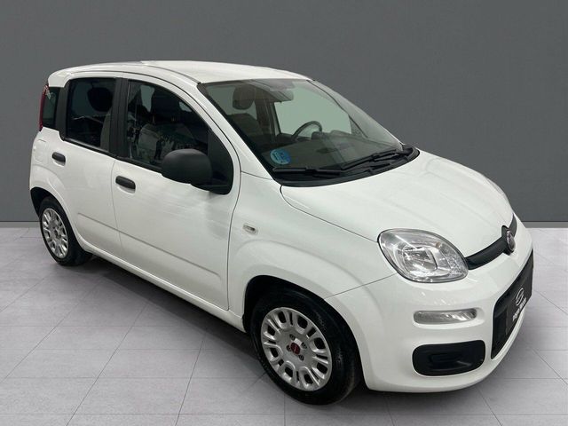 Fiat Panda Panda Hybrid 1.0 Gse 51kw (70CV)