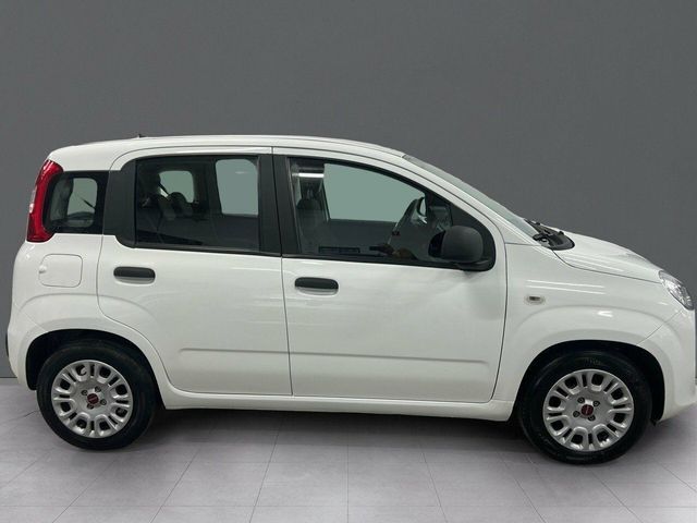 Fiat Panda Panda Hybrid 1.0 Gse 51kw (70CV)