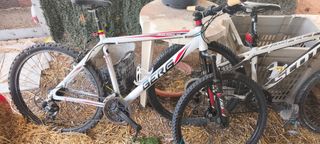 Bicicleta Berg Trailrock 20