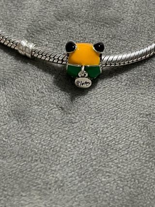 Charm Pluto Disney 