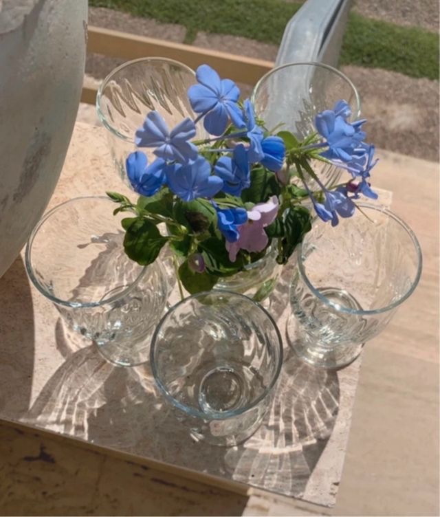 Set 6 Calici Vetro Decorati