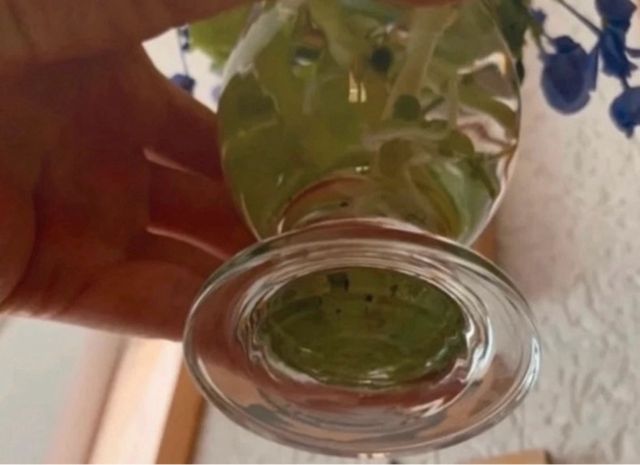 Set 6 Calici Vetro Decorati