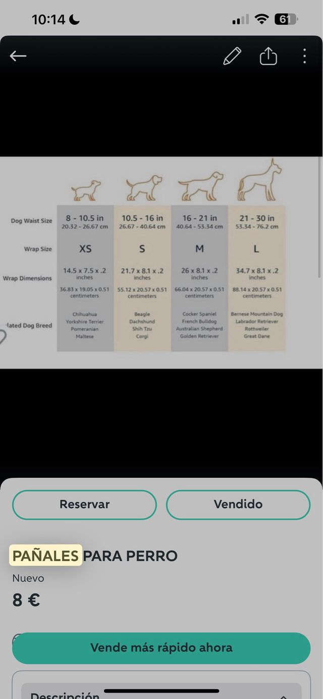 Pañales para perro - Talla XS