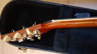 Cambio Orville por telecaster o acoustasonic