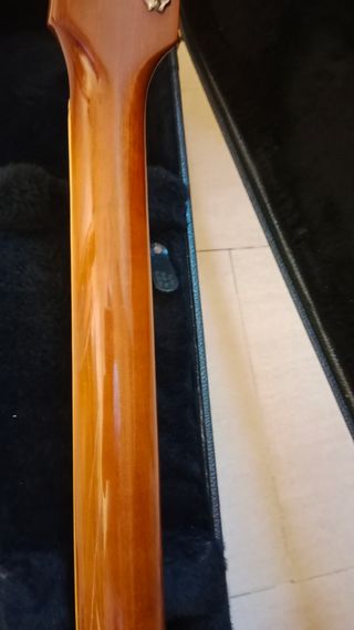 Cambio Orville por telecaster o acoustasonic