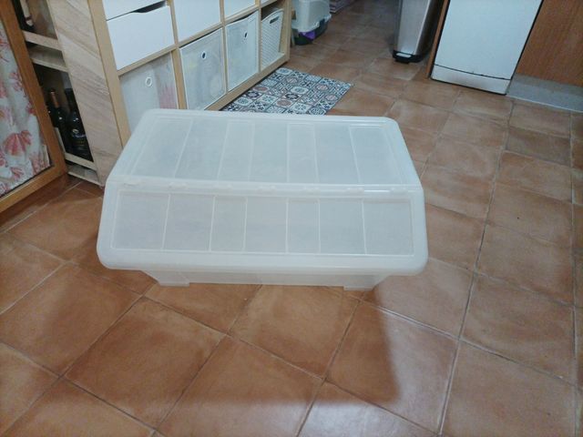 Baúl de plástico transparente