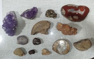 Minerales y Fósiles