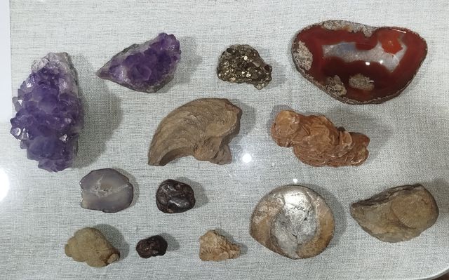 Minerales y Fósiles