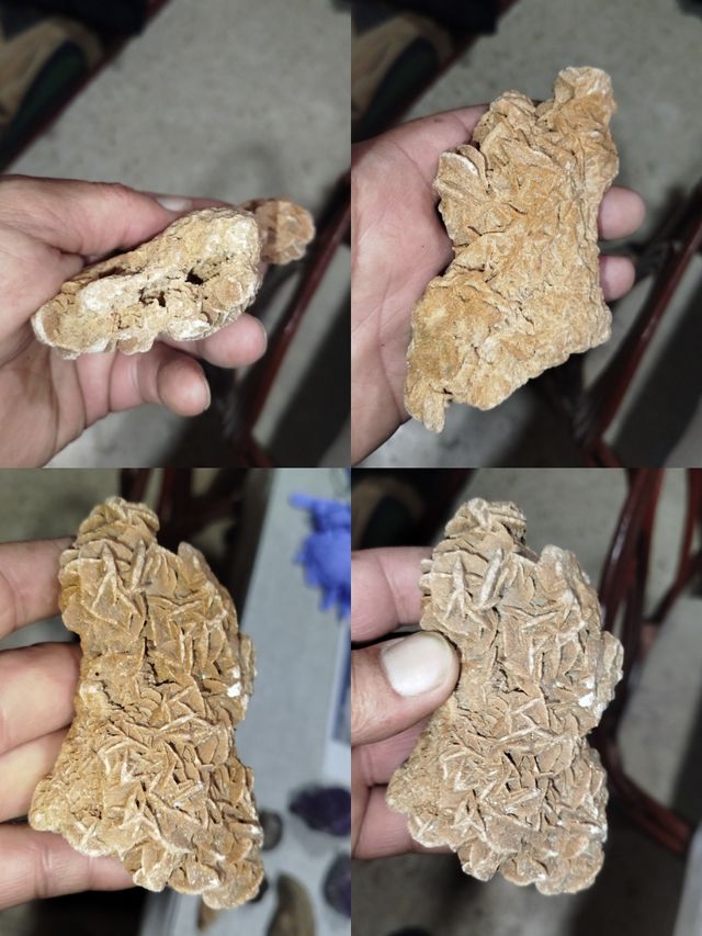 Minerales y Fósiles