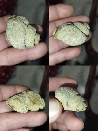 Minerales y Fósiles