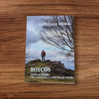 20 EXCURSIONES POR LA GEOGRAFÍA E HISTORIA NAVARRA