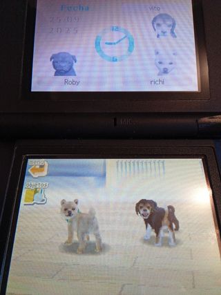 Nintendogs: Dalmatian & Friends para Nintendo DS
